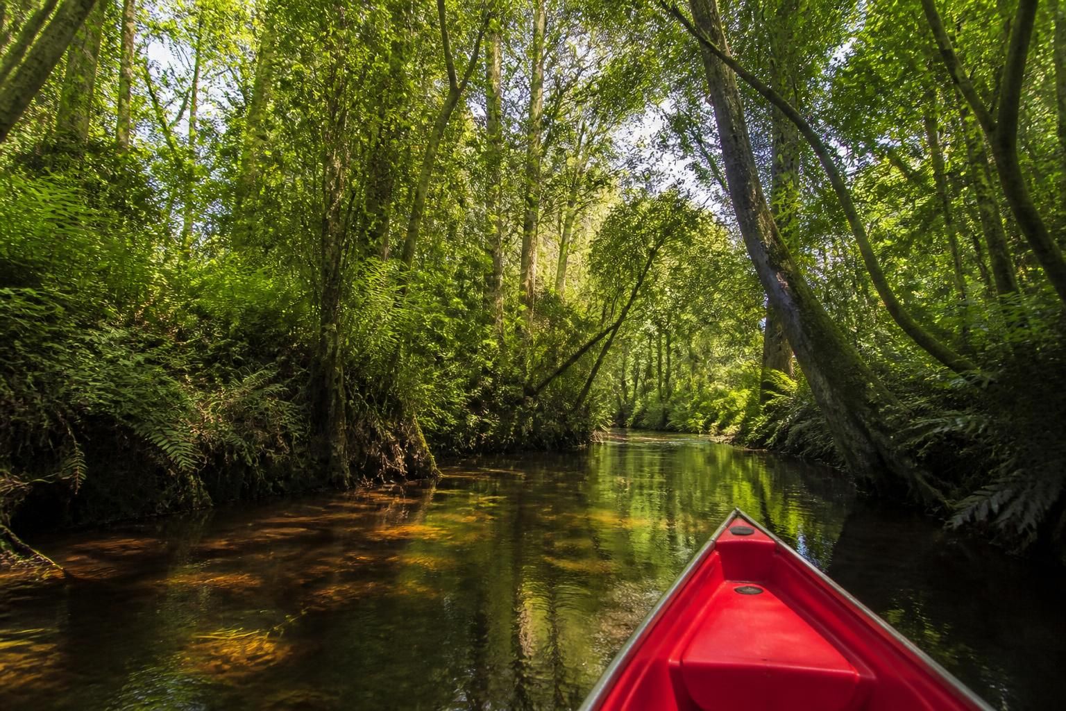 découvrez le plaisir du canoë sur la leyre, rivière sauvage des landes, et explorez des paysages préservés au cœur de la nature.