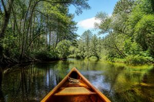 découvrez le plaisir du canoë sur la leyre, une rivière sauvage au cœur des landes, idéale pour les amateurs de nature et d'aventure en pleine nature.