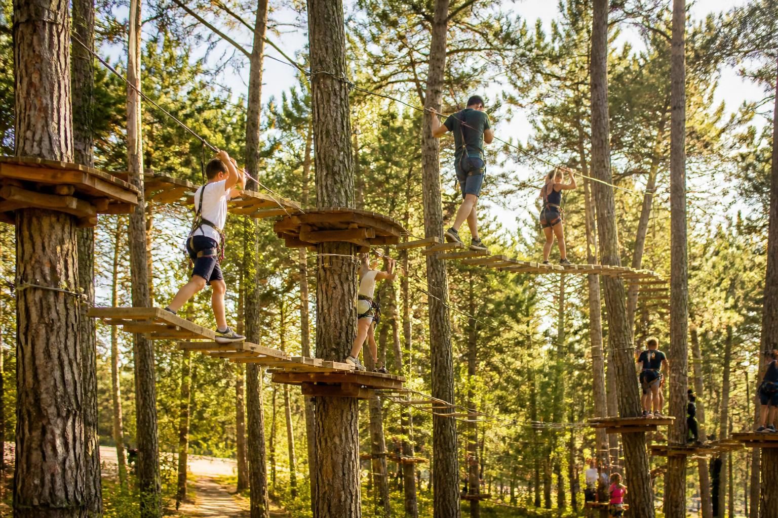 découvrez l'accrobranche à biscarrosse, un parc aventure idéal pour toute la famille au cœur des landes. amusement, sensations et nature au rendez-vous !
