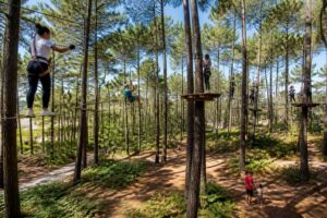 découvrez le parc accrobranche de biscarrosse, un véritable terrain d'aventure au cœur des landes, idéal pour toute la famille. sensations fortes, parcours variés et nature préservée vous attendent pour une expérience inoubliable.