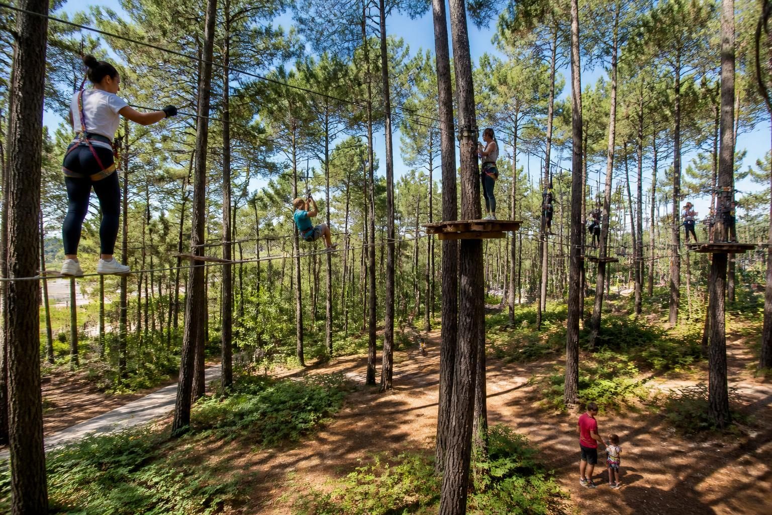 découvrez le parc accrobranche de biscarrosse, un véritable terrain d'aventure au cœur des landes, idéal pour toute la famille. sensations fortes, parcours variés et nature préservée vous attendent pour une expérience inoubliable.