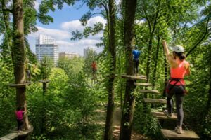 découvrez l'accrobranche à créteil et vivez une aventure unique en pleine nature dans le val-de-marne. amusement et sensations garanties pour petits et grands !