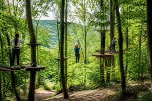 découvrez l'accrobranche à sannois au parc des buttes du parisis, une aventure en pleine nature idéale pour toute la famille, alliant plaisir et sensations fortes.